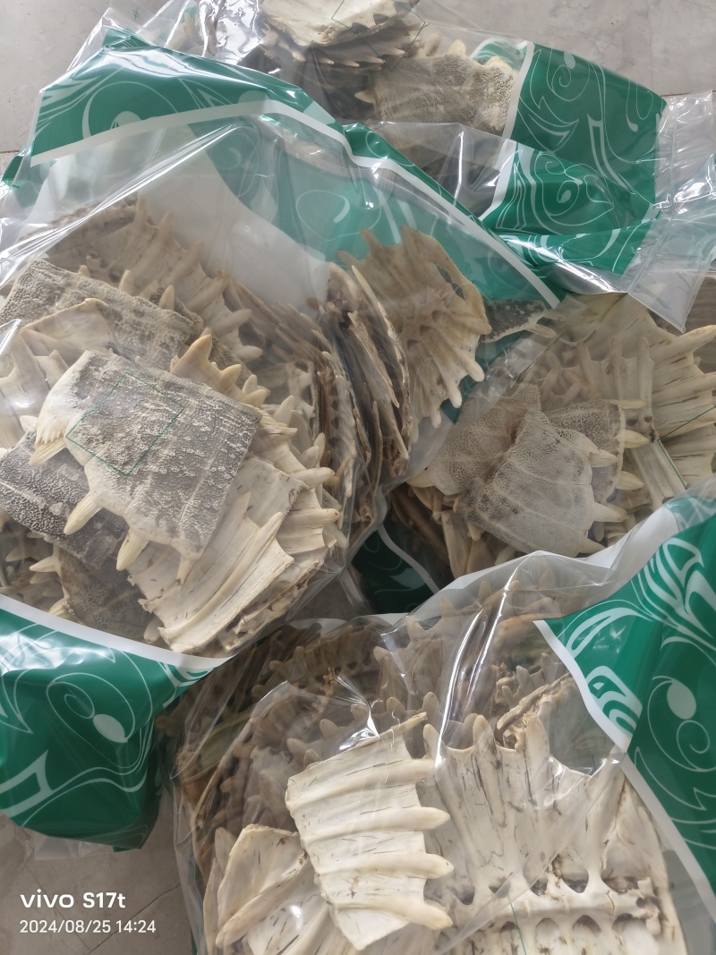 鳖甲，生鳖甲，炒鳖甲，各种规格，干净无肉