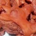 卤味熟食猪头肉卤猪头肉全熟卤猪头肉去骨猪头肉