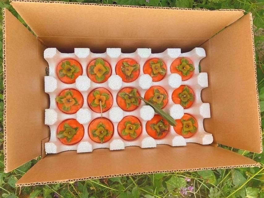 野柿子泡酒成品,瓶中可见完整野柿子与酒液融合状态 野柿子泡酒成品展示图