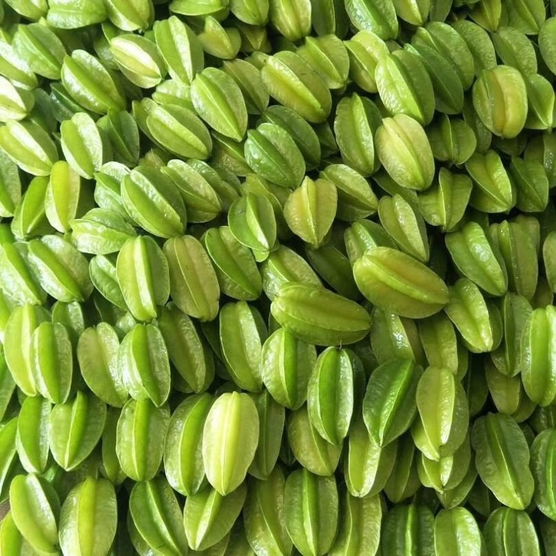 红龙杨桃