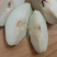 红香酥梨（60#起）150克起