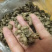 量大从优蝉壳