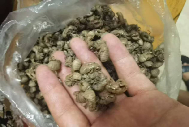 量大从优蝉壳