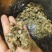 量大从优蝉壳