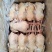 老母鸡，11公斤一件，7-12只都有，全净膛