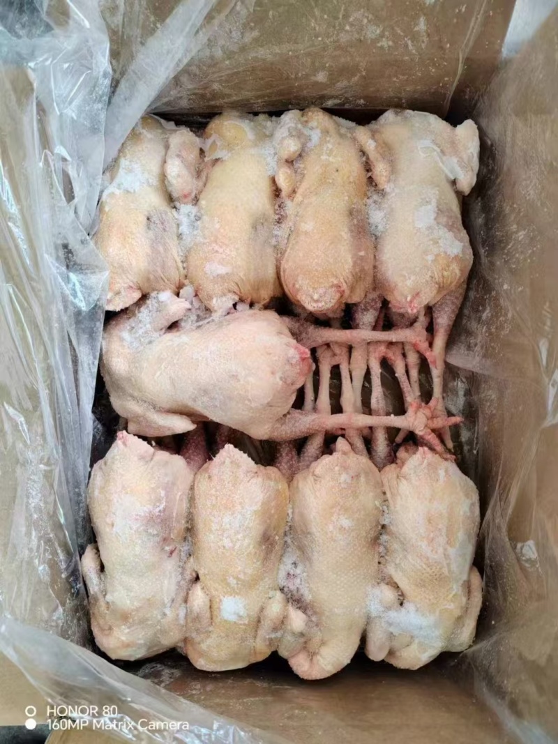 老母鸡，11公斤一件，7-12只都有，全净膛
