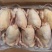 老母鸡，11公斤一件，7-12只都有，全净膛