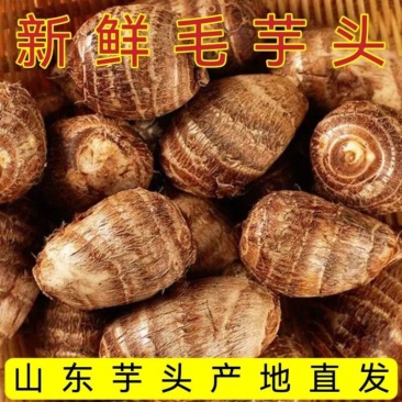 现挖芋头大量上市可按需分拣电商社区团购商超供应