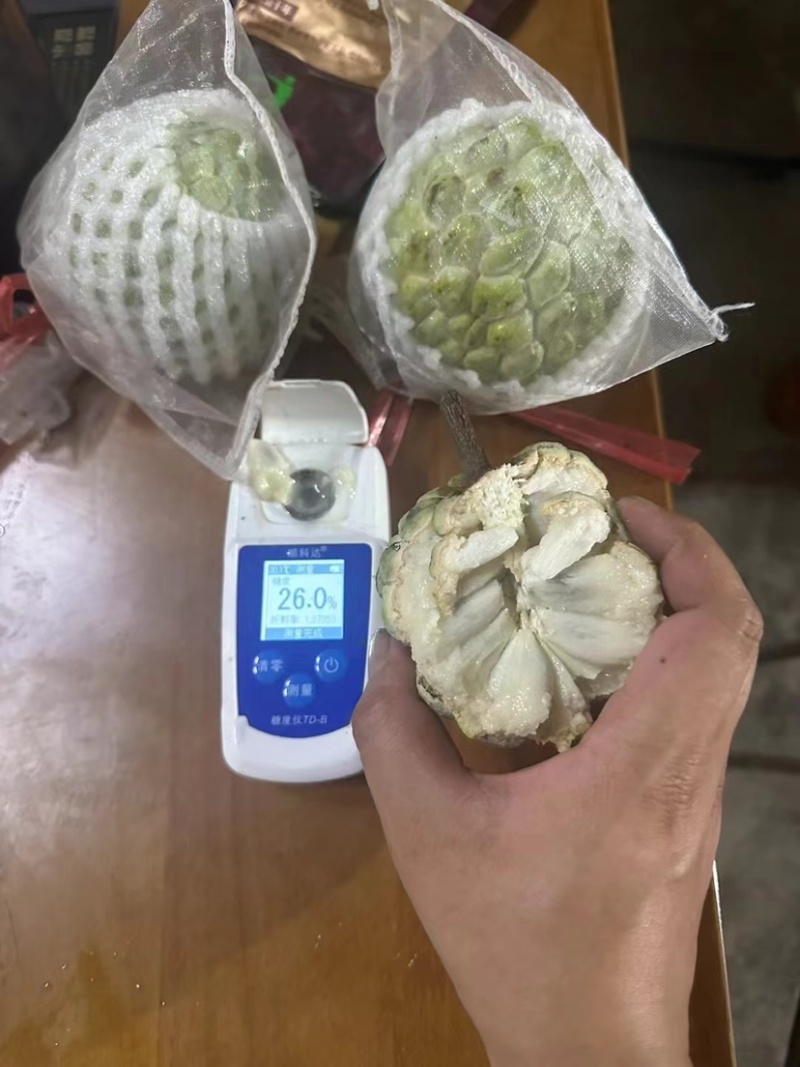 林檎释迦产地一手代办支持全国批发市场社区团购落地配