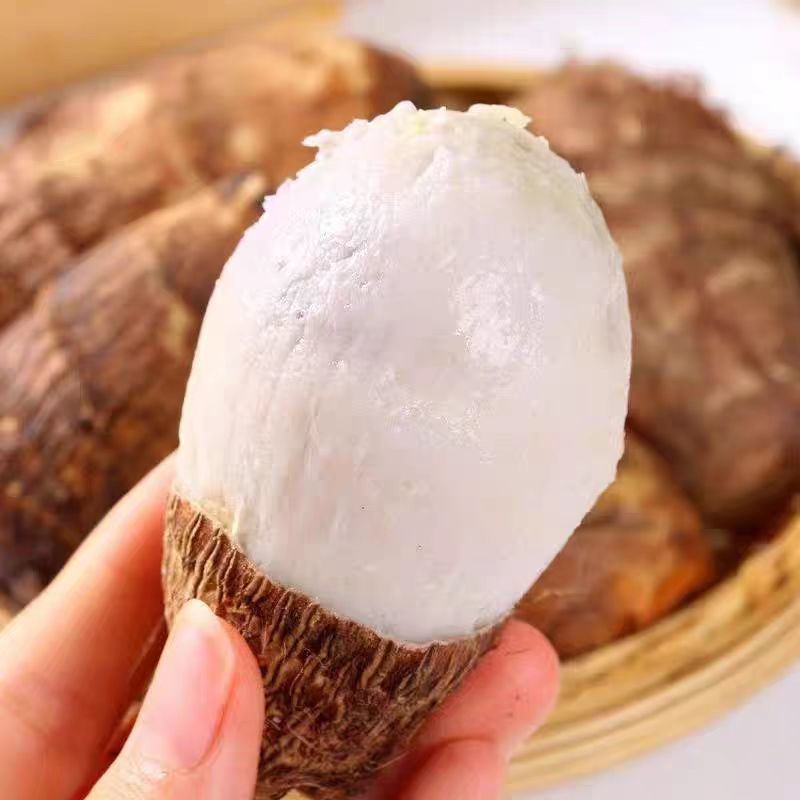芋头产地直发，大中小球通货，随到随装，代发全国，保证质量
