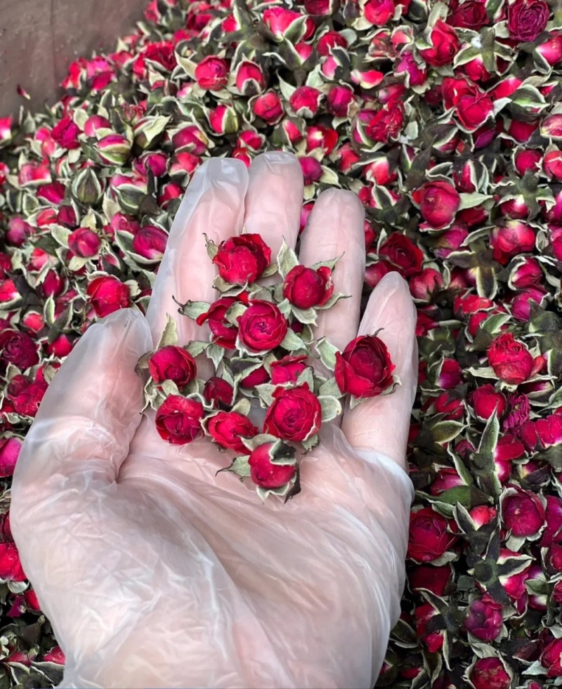 云南金边玫瑰，***，高温烘干，优质农产品，玫瑰花茶！