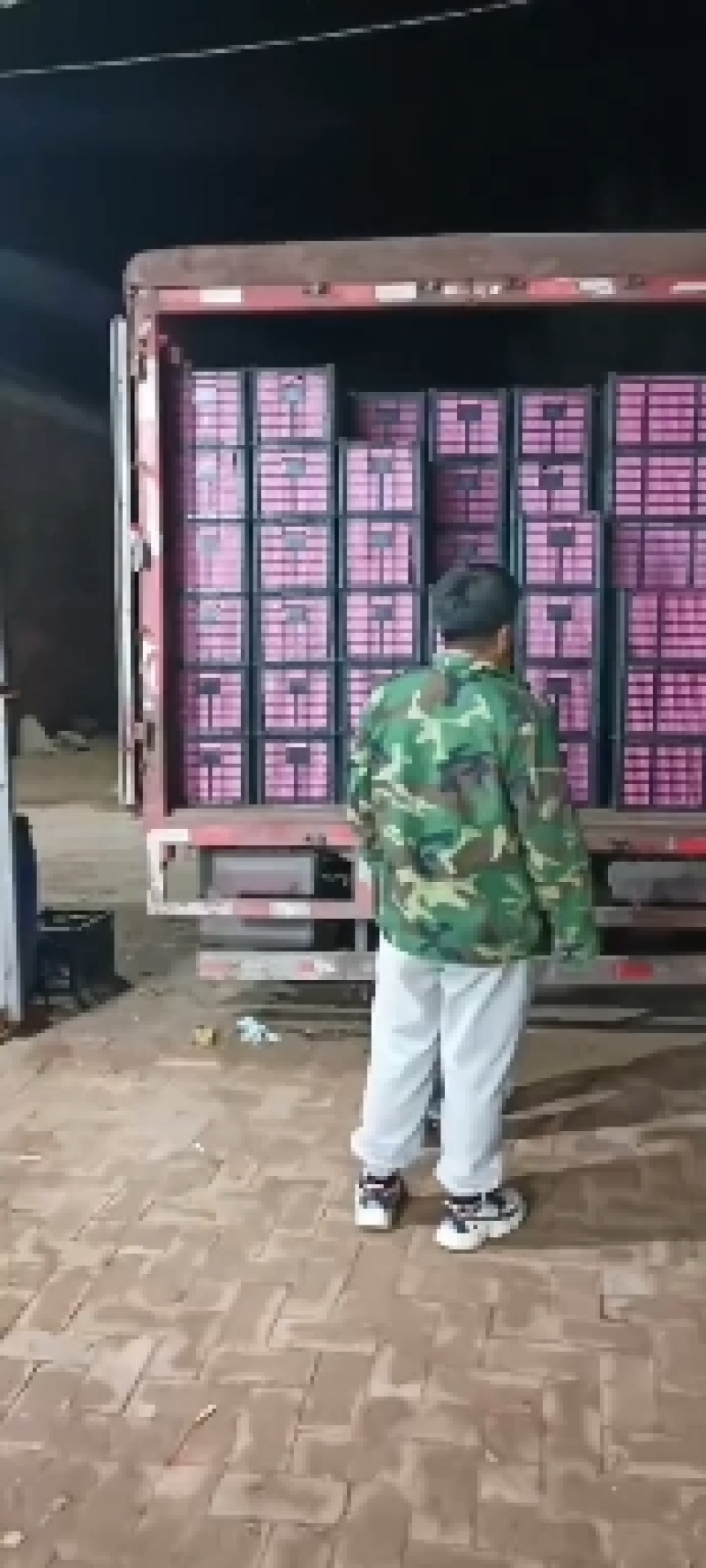 千禧圣女果河北圣女果大量供应中对接全国商超市场等