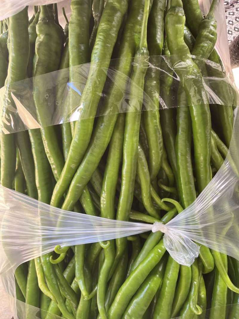 8号椒大量供应市场电商工厂质量保证一手货源