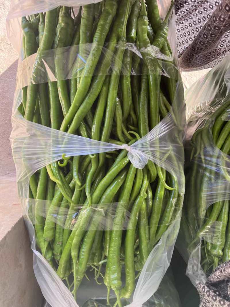 8号椒大量供应市场电商工厂质量保证一手货源