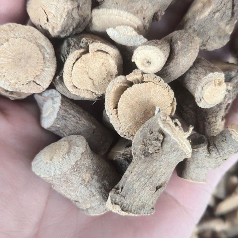 独行千里金纽扣独虎龙落地金鸡中药材