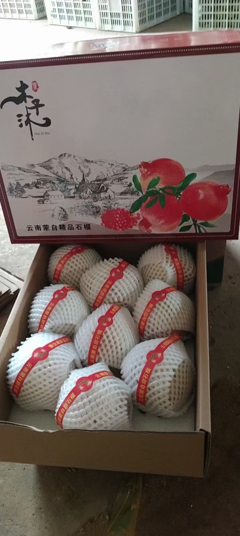 中秋节新品上市，蒙自甜石榴礼品盒款式预订中，支持一件代发