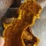 桑黄干货各种规格2斤起包邮量大从优