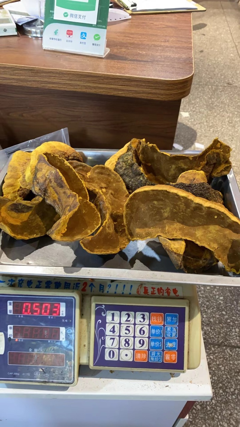 桑黄干货各种规格2斤起包邮量大从优