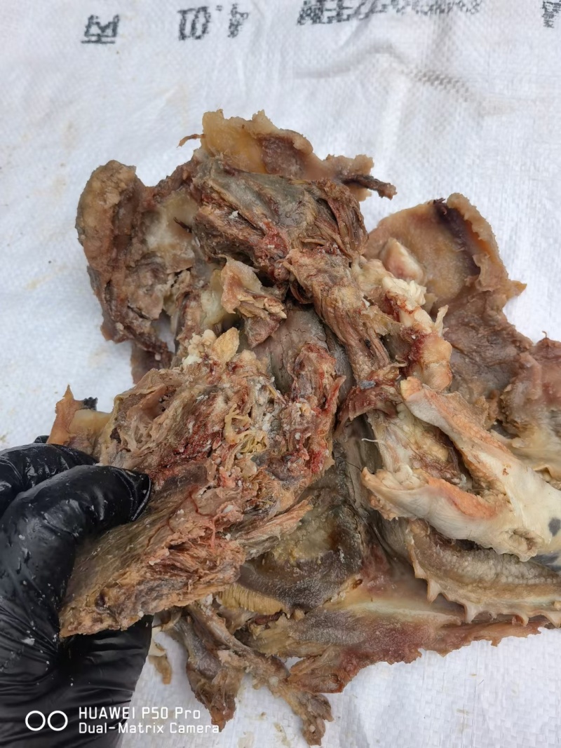 熟去皮牛头肉去皮去油熟牛头肉源头工厂一手货源质量保证