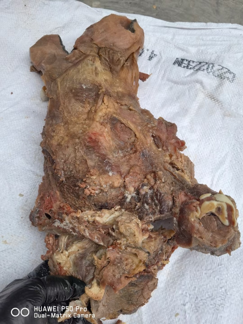 熟去皮牛头肉去皮去油熟牛头肉源头工厂一手货源质量保证