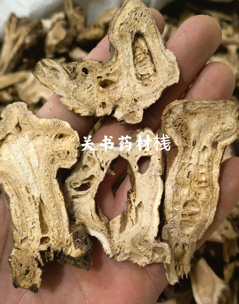 白术生浙白术大统，蜂窝明显，关书药业批发中药材