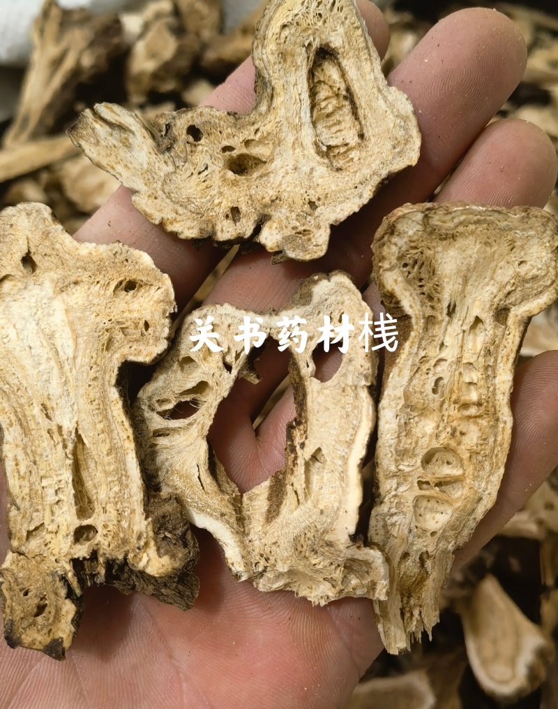 白术生浙白术大统，蜂窝明显，关书药业批发中药材