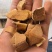 龟板醋龟壳新货1000起批关书药业批发中药材