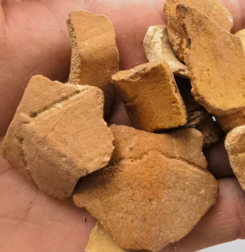 龟板醋龟壳新货1000起批关书药业批发中药材