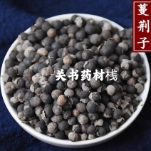 蔓荆子中选过风车关书药业批发中药材规格齐全