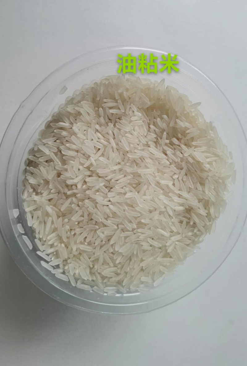象牙油粘香米500克/袋