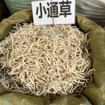 通草小通草