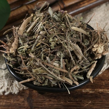 中药材马鞭草铁马鞭马边草马鞭草