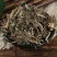 中药材马鞭草铁马鞭马边草马鞭草