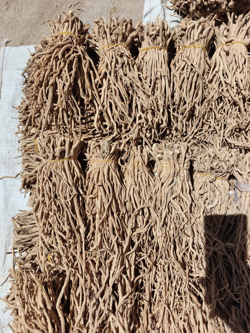 精品防风尾节