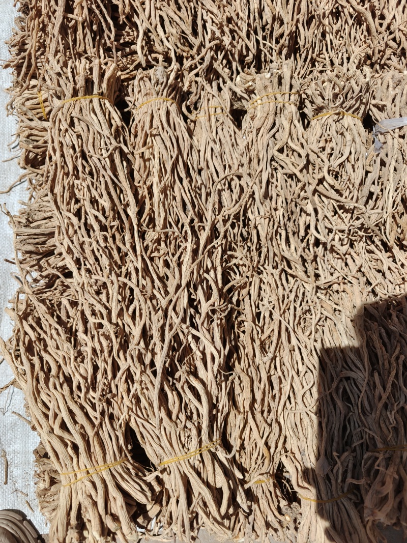 精品防风尾节