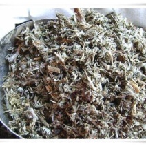 翻白草中药材翻白草