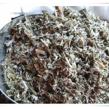 翻白草中药材翻白草