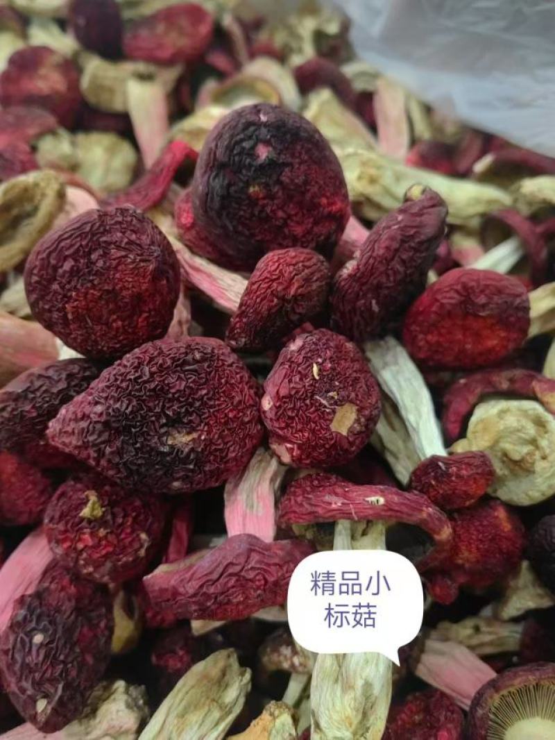 红菇，云南产地，纯野生菌干货，一件代发，批发，全国包邮！