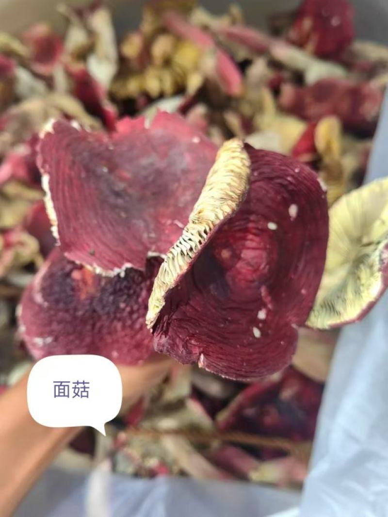 红菇，云南产地，纯野生菌干货，一件代发，批发，全国包邮！