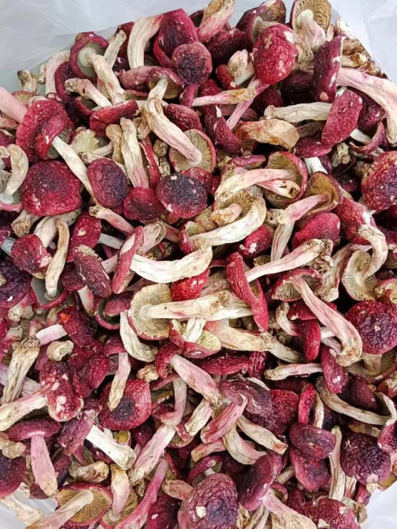 红菇，云南产地，纯野生菌干货，一件代发，批发，全国包邮！