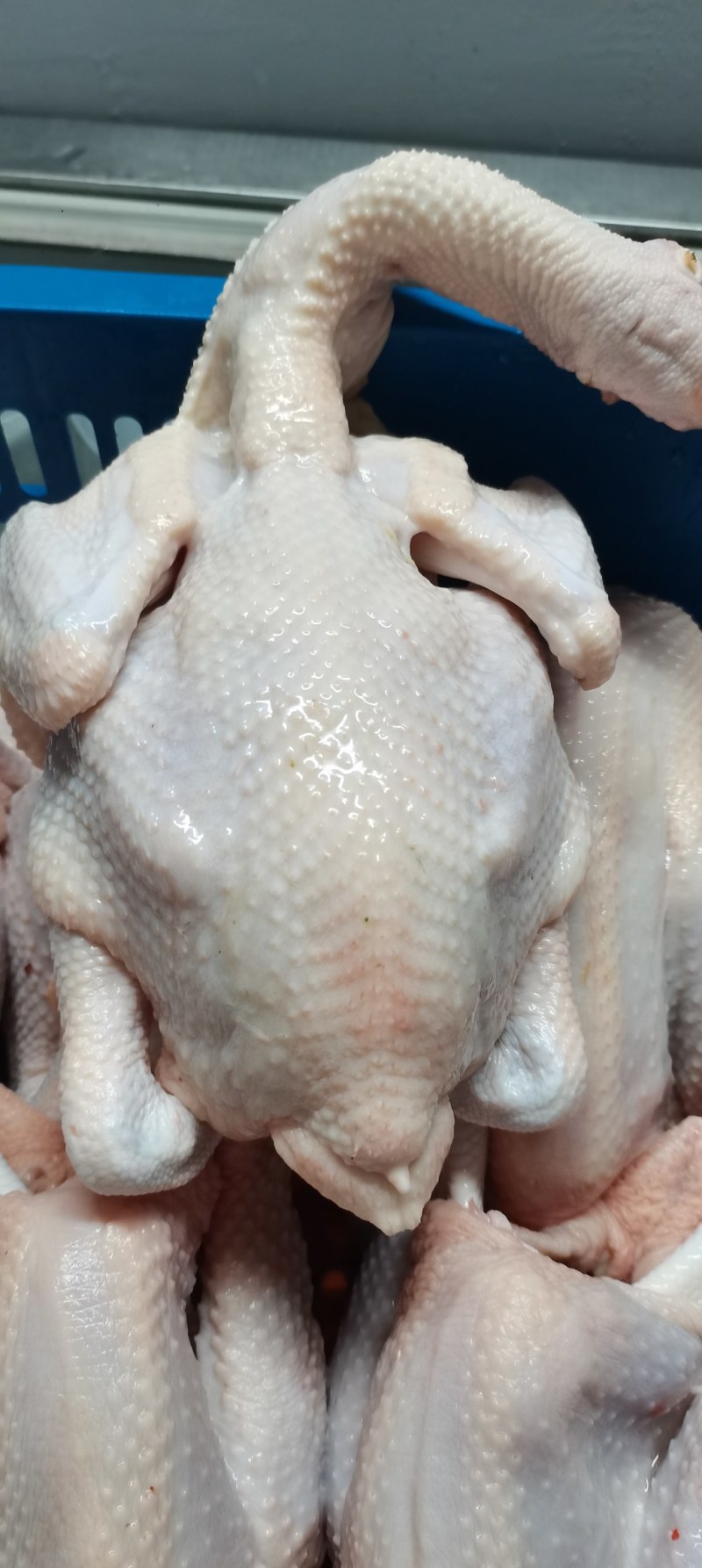 烧鸡鲜品系列