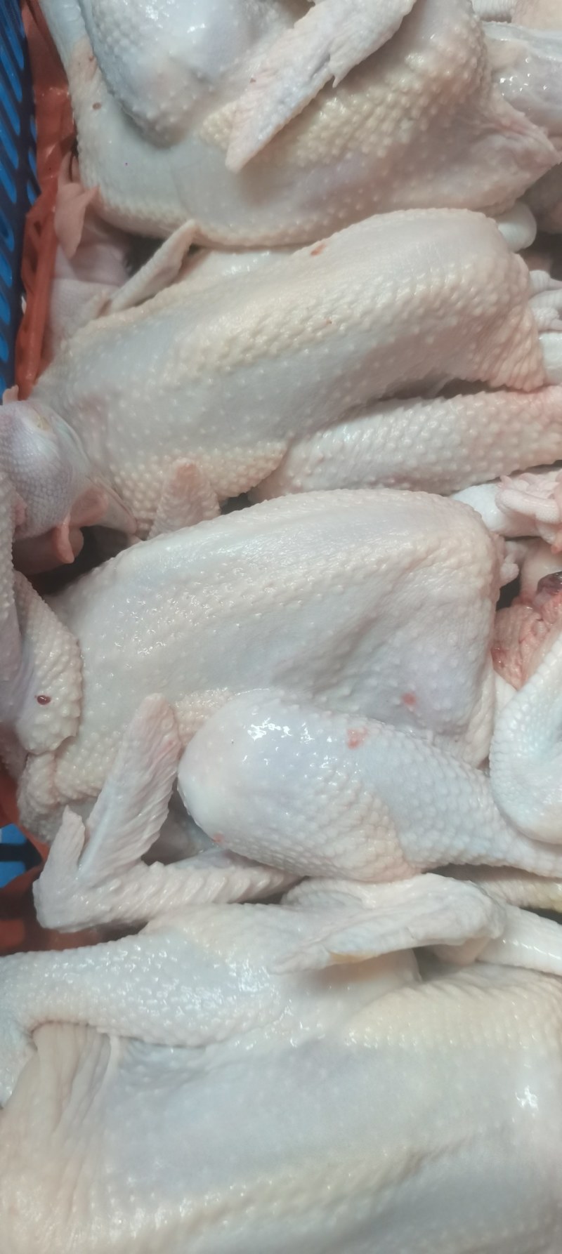 烧鸡鲜品系列