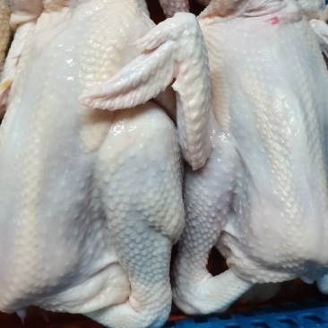 烧鸡鲜品系列