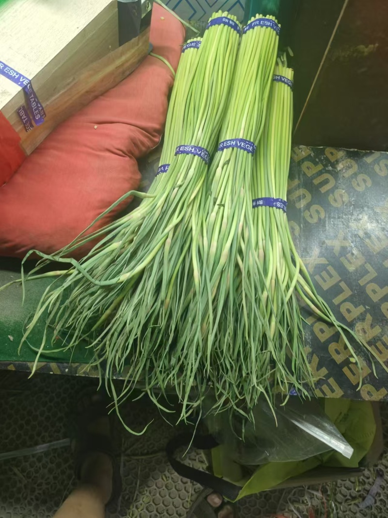 （广交新客）红帽蒜薹商超品质装包发货规格齐全