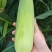 新鲜黄糯玉米10万斤，从地直采，0.5元/斤，量大从优