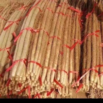 【热卖】铁棍山药对接电商、商超，质坚粉足优质山药产地直发