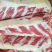 【牛】国产牛胸骨本着以质量求生存、以信誉求发展