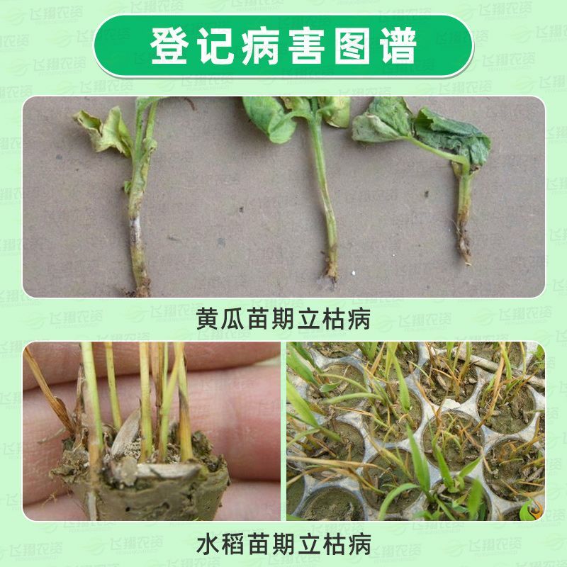 沪联上苗清30%甲霜噁恶霉灵恶霉灵立枯病根腐病枯萎病杀