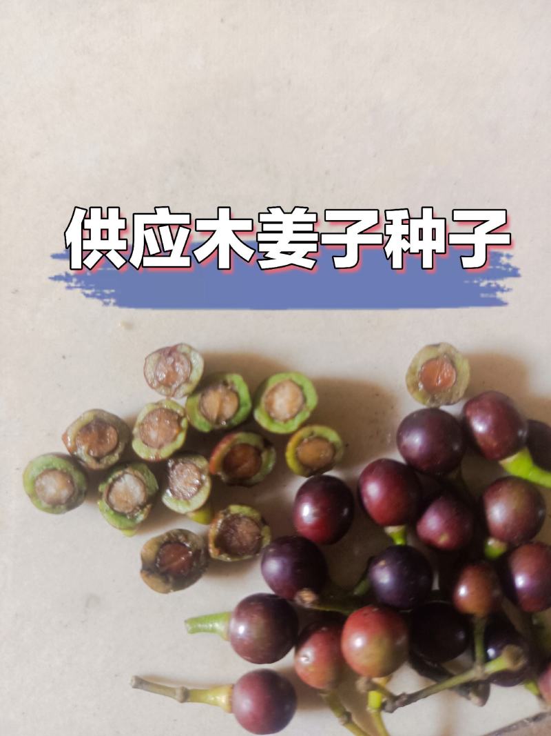木姜子，山苍子，山胡椒
