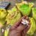 热卖鲜花生，大白沙花生，现摘现发新鲜直发，对接全国客商